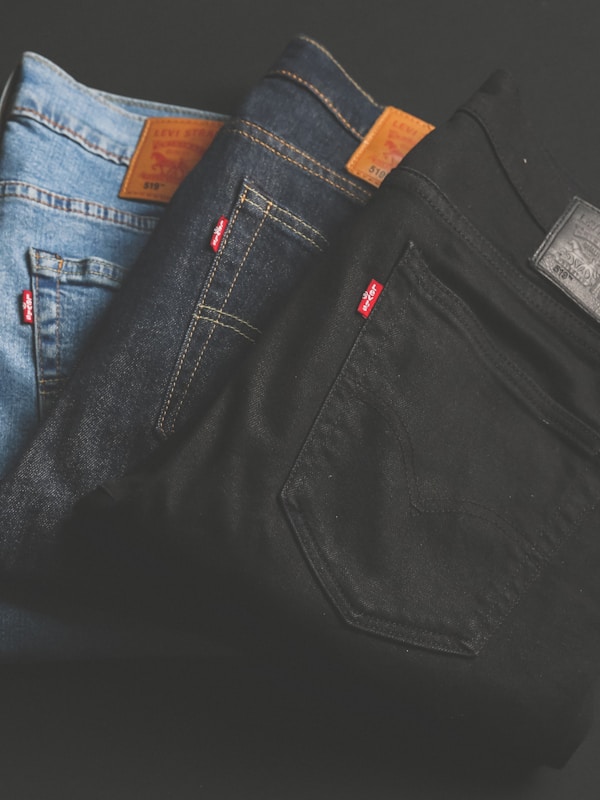 Regular Fit Denim Jean