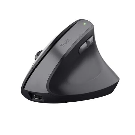 Trust TM-270 Ergonomik Kablosuz Mouse - Siyah